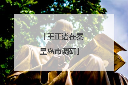 王正谱在秦皇岛市调研