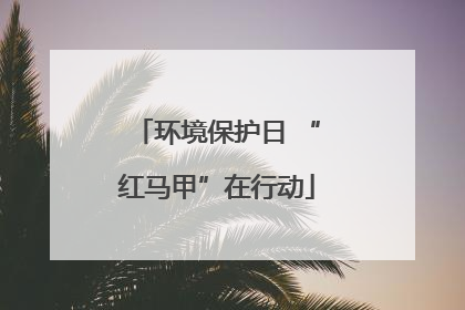 环境保护日 “红马甲”在行动