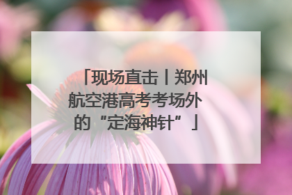 现场直击丨郑州航空港高考考场外的“定海神针”
