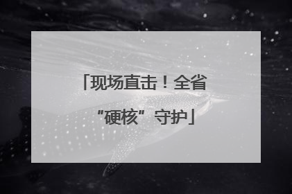现场直击！全省“硬核”守护