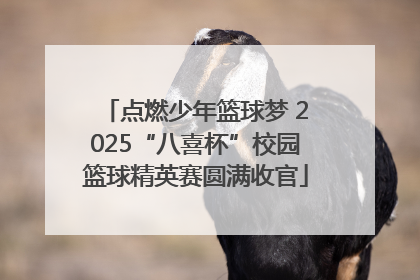 点燃少年篮球梦 2025“八喜杯”校园篮球精英赛圆满收官