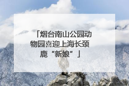 烟台南山公园动物园喜迎上海长颈鹿“新娘”