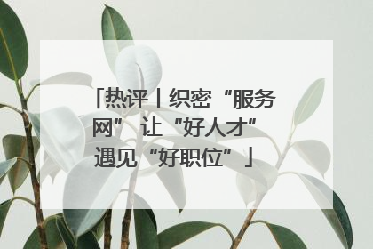 热评丨织密“服务网” 让“好人才”遇见“好职位”
