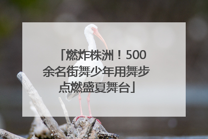 燃炸株洲！500余名街舞少年用舞步点燃盛夏舞台