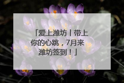 爱上潍坊丨带上你的心跳，7月来潍坊签到！