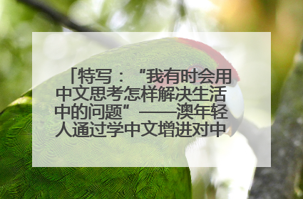 特写：“我有时会用中文思考怎样解决生活中的问题”——澳年轻人通过学中文增进对中华文化的理解