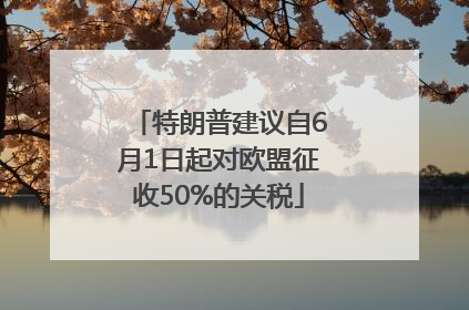 特朗普建议自6月1日起对欧盟征收50%的关税