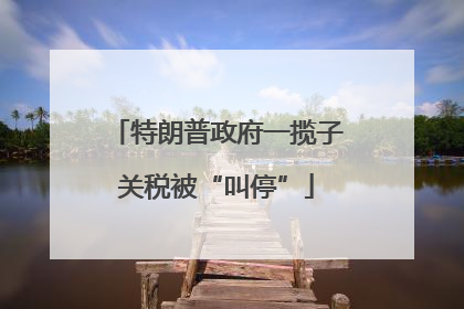 特朗普政府一揽子关税被“叫停”