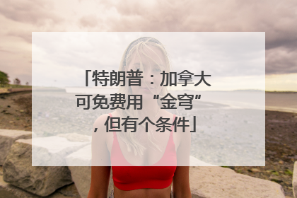 特朗普：加拿大可免费用“金穹”，但有个条件