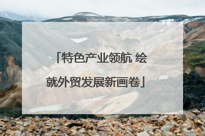 特色产业领航 绘就外贸发展新画卷