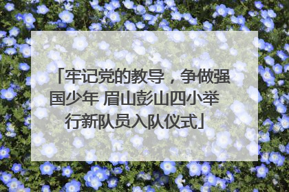牢记党的教导，争做强国少年 眉山彭山四小举行新队员入队仪式
