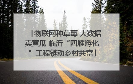 物联网种草莓 大数据卖黄瓜 临沂“四雁孵化”工程链动乡村共富