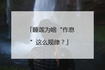 睡莲为啥“作息”这么规律？