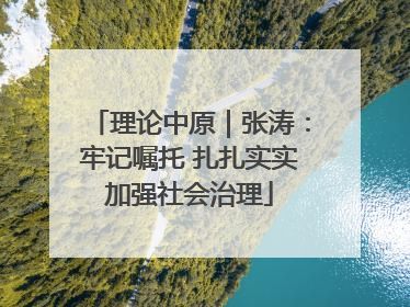 理论中原｜张涛：牢记嘱托 扎扎实实加强社会治理