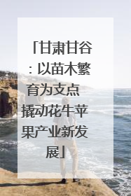 甘肃甘谷：以苗木繁育为支点 撬动花牛苹果产业新发展