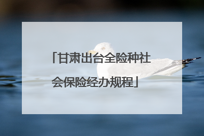 甘肃出台全险种社会保险经办规程