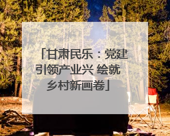 甘肃民乐：党建引领产业兴 绘就乡村新画卷