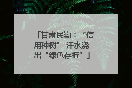 甘肃民勤：“信用种树” 汗水浇出“绿色存折”