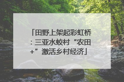 田野上架起彩虹桥：三亚水蛟村“农田+”激活乡村经济
