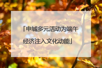 申城多元活动为端午经济注入文化动能