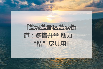 盐城盐都区盐渎街道：多措并举 助力“秸”尽其用