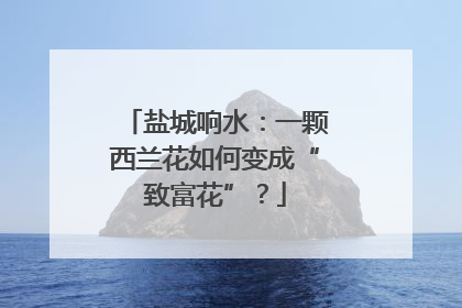 盐城响水：一颗西兰花如何变成“致富花”？