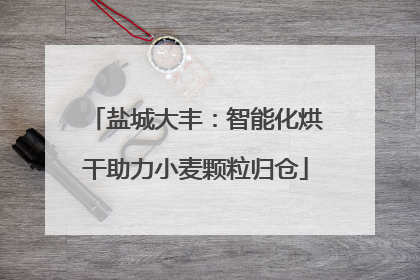 盐城大丰：智能化烘干助力小麦颗粒归仓