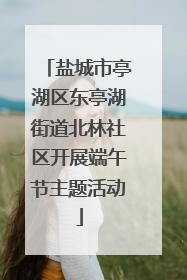 盐城市亭湖区东亭湖街道北林社区开展端午节主题活动