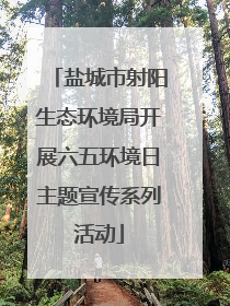 盐城市射阳生态环境局开展六五环境日主题宣传系列活动