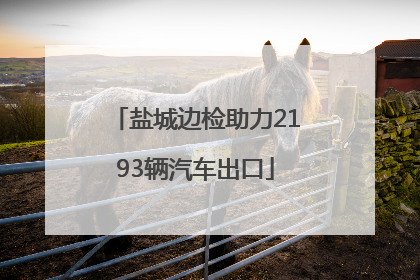 盐城边检助力2193辆汽车出口