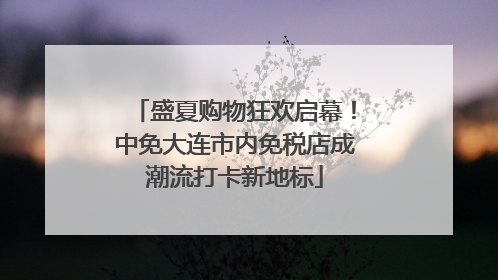 盛夏购物狂欢启幕！中免大连市内免税店成潮流打卡新地标