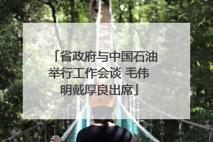 省政府与中国石油举行工作会谈 毛伟明戴厚良出席