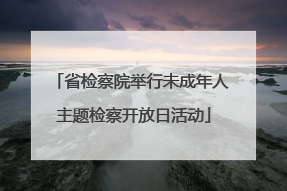 省检察院举行未成年人主题检察开放日活动