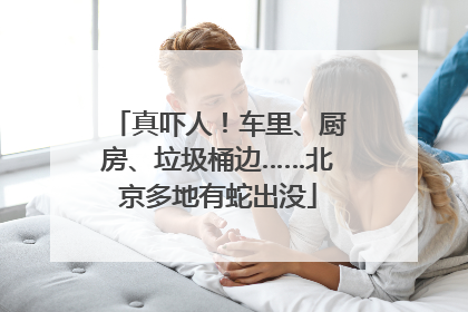真吓人！车里、厨房、垃圾桶边……北京多地有蛇出没