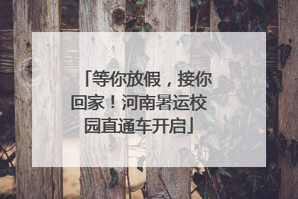 等你放假，接你回家！河南暑运校园直通车开启