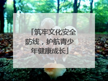 筑牢文化安全防线，护航青少年健康成长
