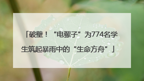 破壁！“电骡子”为774名学生筑起暴雨中的“生命方舟”