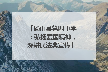 砀山县第四中学：弘扬爱国精神，深耕民法典宣传