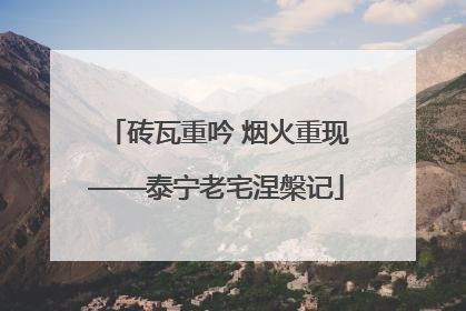 砖瓦重吟 烟火重现——泰宁老宅涅槃记
