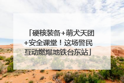 硬核装备+萌犬天团+安全课堂！这场警民互动燃爆地铁台东站