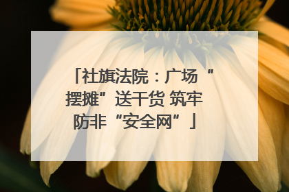 社旗法院：广场“摆摊”送干货 筑牢防非“安全网”