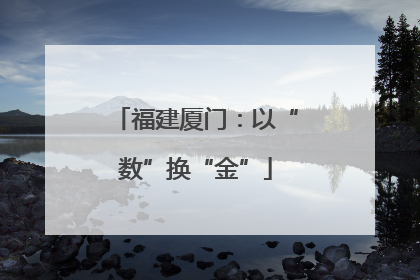 福建厦门：以“数”换“金”