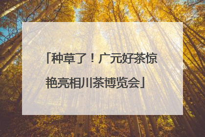 种草了！广元好茶惊艳亮相川茶博览会