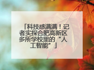 科技感满满！记者实探合肥高新区多所学校里的“人工智能”