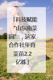 科技赋能“山东南菜园”，这家合作社年育菜苗2.2亿株