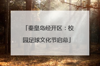 秦皇岛经开区：校园足球文化节启幕