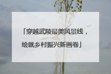 穿越武陵最美风景线，绘就乡村振兴新画卷