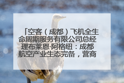 空客（成都）飞机全生命周期服务有限公司总经理布莱恩·阿格纽：成都航空产业生态完备，营商环境优势显著