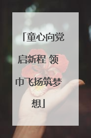 童心向党启新程 领巾飞扬筑梦想