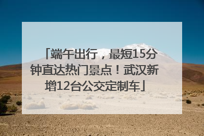 端午出行，最短15分钟直达热门景点！武汉新增12台公交定制车